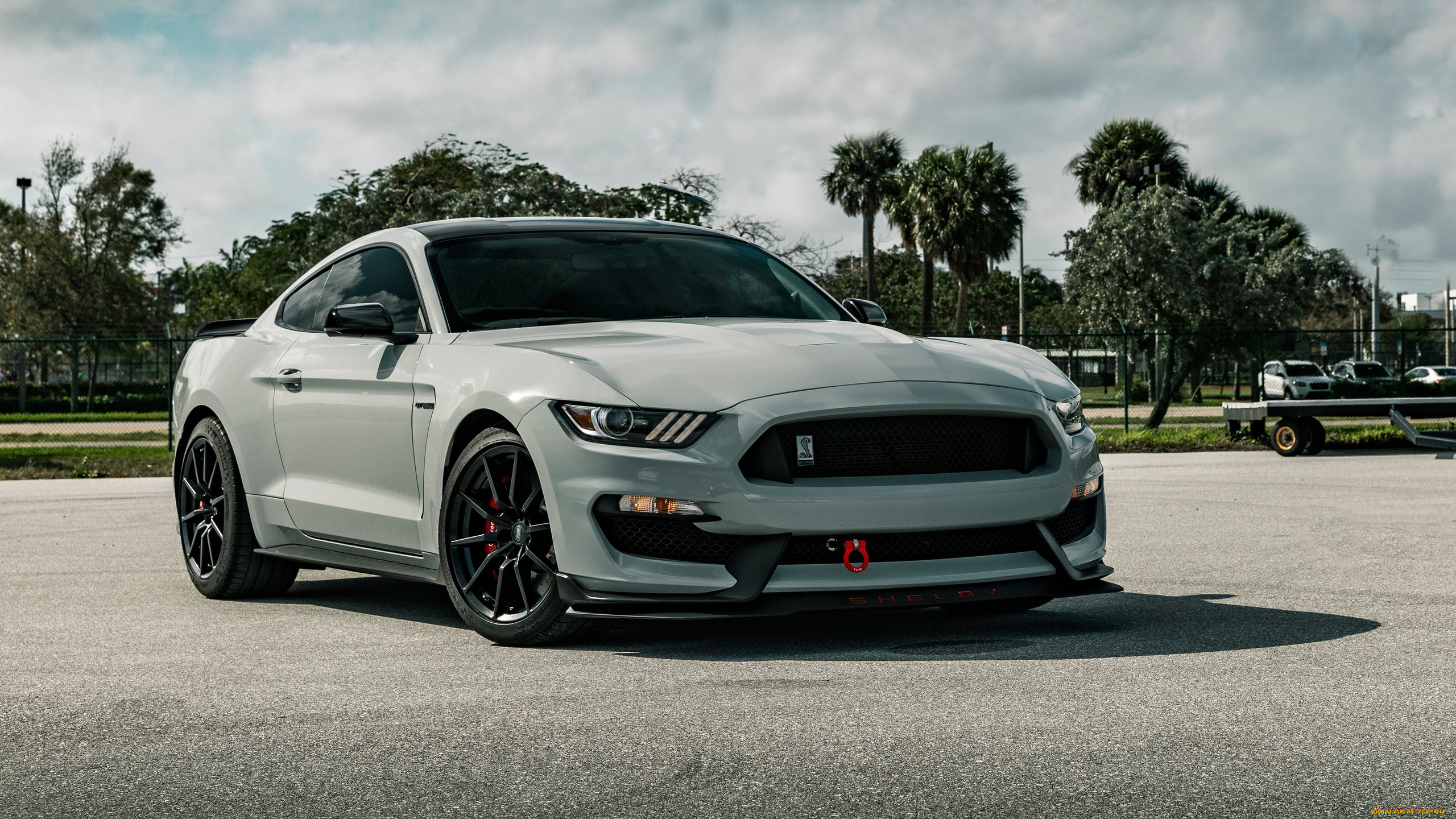 , mustang, ford, shelby, gt350